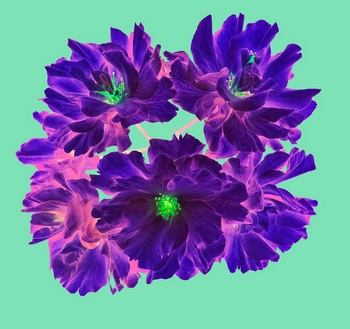 F 054B